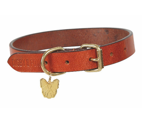 Shires Digby & Fox Flat Leather Dog Collar
