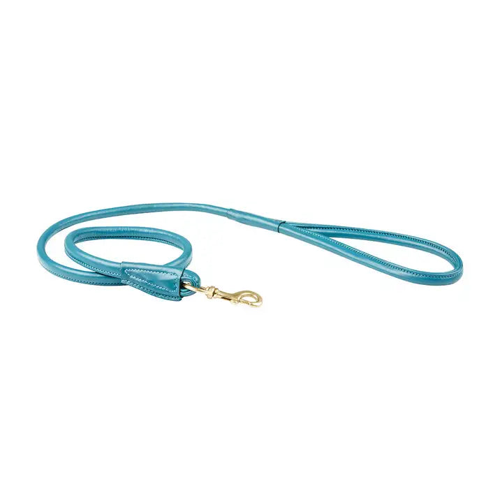 Weatherbeeta Rolled Leather Dog Lead
